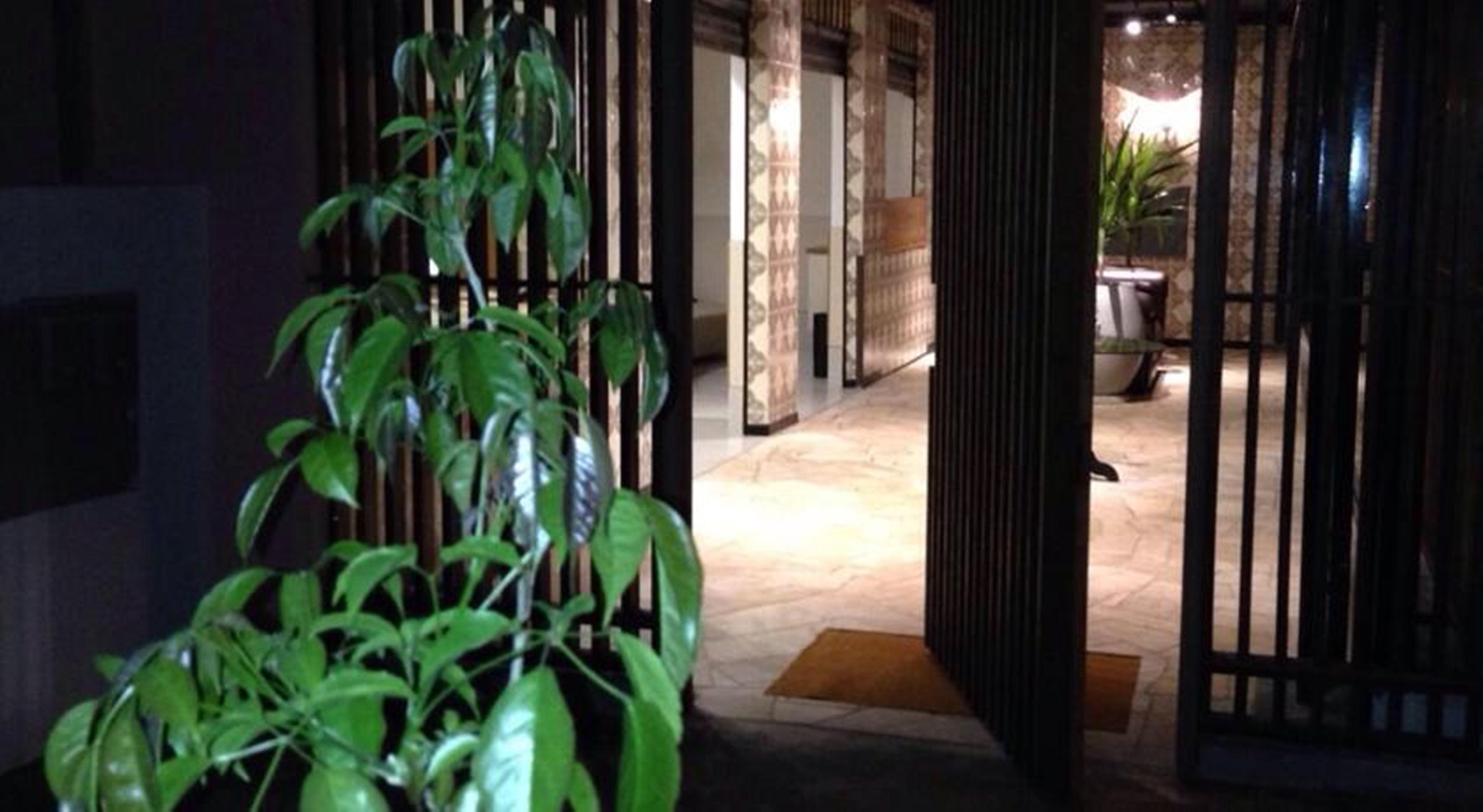 Vespasiano Hotel Telêmaco Borba Dış mekan fotoğraf